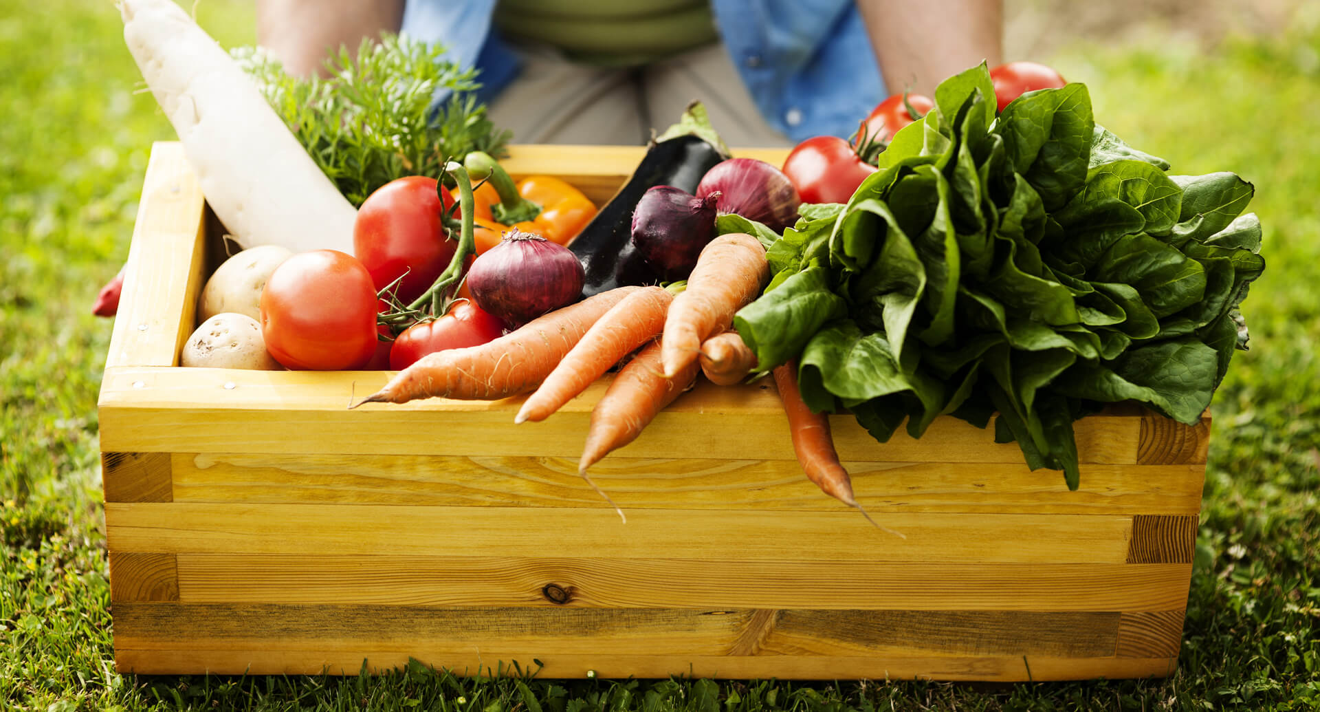 Packing materials for fruits & vegetables Farm Agrico Agriculture Farm.
